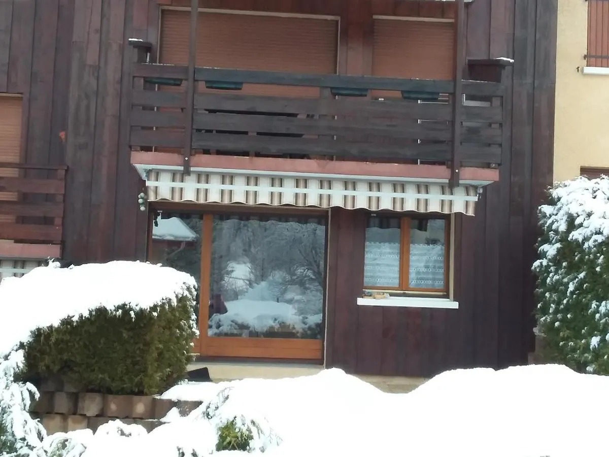 Charmant Duplex De 45M², 2 Chambres, Jardin, Garage, Villard-De-Lans - Fr-1-515-51
